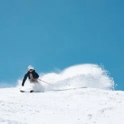 BLACK CROWS JUNIUS 23 11 BLACK CROWS JUNIUS 23 -Winter Ski Winkel 9 113729 junius 101372 06